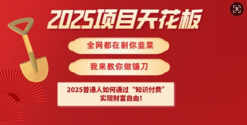 2025项目天花板普通人如何通过知识付费，实现财F自由【揭秘】