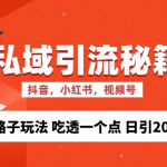 私域流量的精准化获客方法 野路子玩法 吃透一个点 日引200+ 【揭秘】