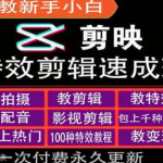 剪映特效教程和运营变现教程，特效剪辑速成班，专教新手小白