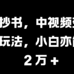 抖音抄书，中视频变现蓝海新玩法，小白亦能月入 过W【揭秘】