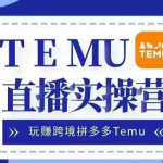 Temu直播实战营，玩赚跨境拼多多Temu，国内电商卷就出海赚美金