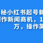 揭秘小红书起号新赛道，AI制作新闻商机，10天涨粉1万，操作简单