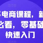 拼多多电商课程，新手纯小白必看，零基础教学快速入门