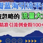 豆瓣蓝海引流平台，一个被忽略的流量大鱼塘，单日精准引流创业粉100+