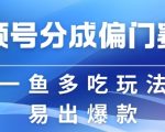 视频号创作者分成计划偏门类目，容易爆流，实拍内容简单易做【揭秘】