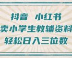 抖音小红书卖小学生教辅资料，操作简单，小白也能轻松上手，一个月利润1W+