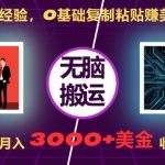 无需经验，0基础复制粘贴赚美刀，动动手指，月入3000+刀，无上限【揭秘】