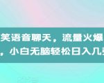 AI生成搞笑语音聊天，流量火爆，条条爆款，小白无脑轻松日入几张【揭秘】