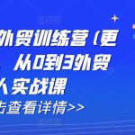 AI闪电做外贸训练营(更新11月)，从0到3外贸万人实战课